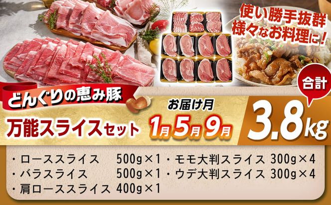 「どんぐりの恵み豚」エンジョイ定期便(10ヶ月)_T80(10)-1102_(都城市) スライスセット 焼肉 スペアリブ こま切れ しゃぶしゃぶセット ブランド豚 10ヶ月 毎月お届け 毎日のお料理に 都城市 豚肉 ロース バラ モモ ウデ スライス スペアリブ 切り落とし ステーキ しゃぶしゃぶ