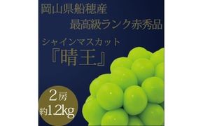 ぶどう 2026年 先行予約 9月・10月発送 高級品 シャインマスカット 晴王 2房 約1.2kg ブドウ 葡萄 岡山県産 船穂産 フルーツ 果物 ギフト