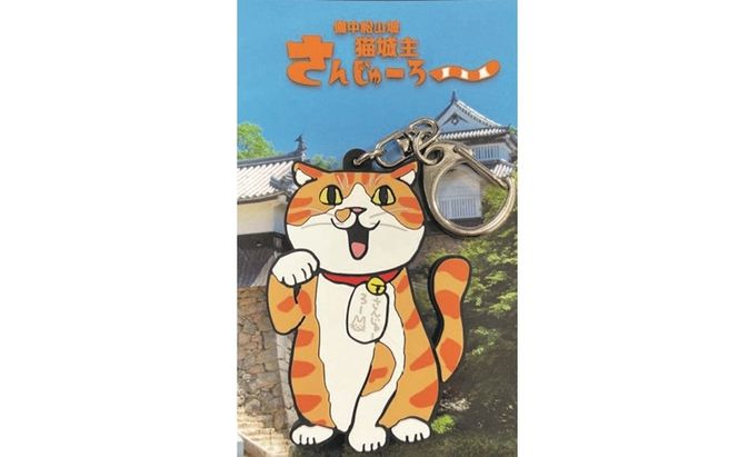 さんじゅーろーグッズセット 雑貨 文房具 小物 詰め合わせ ネコ 実写 猫城主 ポストカード メモ帳 A6 サイズ ピンバッヂ ラバー キーホルダー 