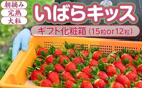 【1月中旬～4月上旬発送】いばらキッス いちご 朝摘み 完熟 大粒 ギフト化粧箱 15粒or12粒 茨城県常総市産 | 苺 イチゴ ※2026年1月中旬～4月上旬頃に順次発送予定