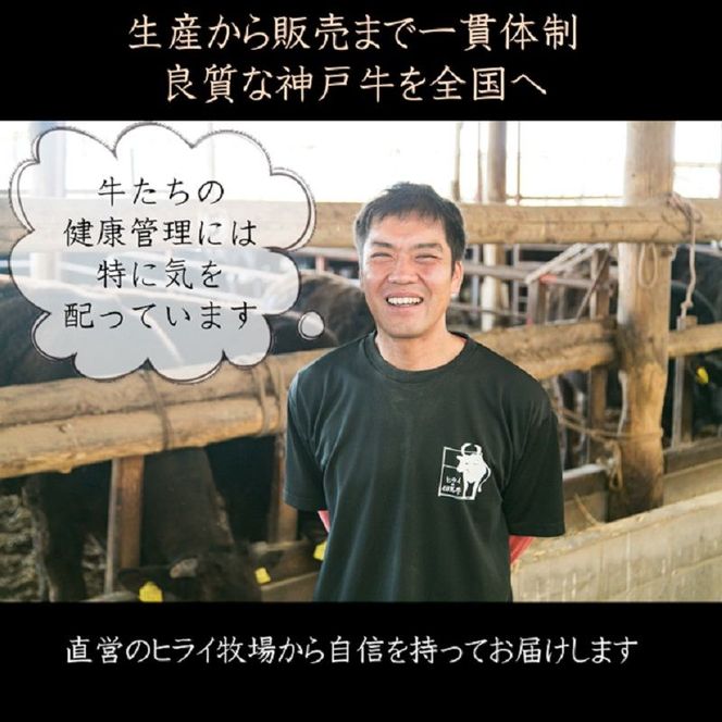 神戸牛厚切りランプステーキ 200g×2枚《 肉 牛肉 牛 神戸牛 国産牛 ステーキ ステーキ肉 ランプ 美味しい プレゼント ギフト 人気 送料無料 返礼品 お取り寄せ おすすめ》【2402A00122】