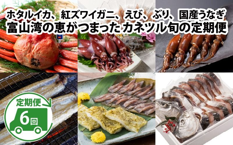 [数量限定]富山湾の恵がつまった カネツル旬の定期便(ホタルイカ、紅ズワイガニ、えび、ぶり、国産うなぎ)[(有)カネツル砂子商店]