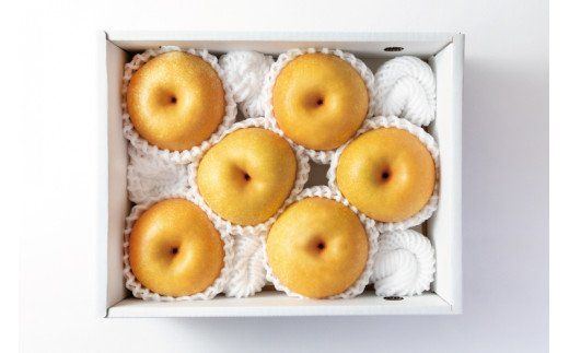 【先行予約受付】和歌山県産の美味しい梨 約2kg （6～8玉入り）【2026年8月中旬頃から9月中旬頃に順次発送予定】【mat103B】
