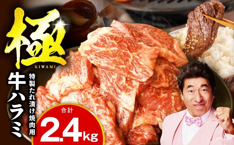 mrz0389 [氷温熟成×特製ダレ]牛肉 ハラミ 2.4kg(300g×8P)