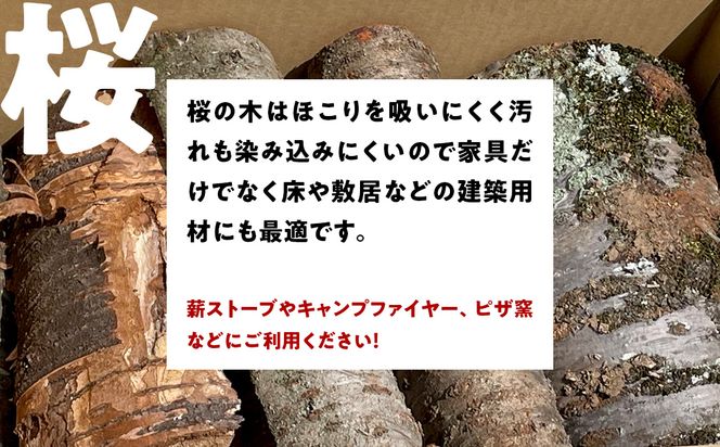 ＼選べるサイズ／ 牛久市産 乾燥 薪 桜 ( さくら ) 使い切りタイプ 牛久市産 天然木 マキ 乾燥薪 広葉樹 キャンプ アウトドア 焚火 焚き火 薪ストーブ 暖炉 たき火 野外 屋外 バーベキュー薪 ピザ窯の薪 グリル焼 [DP046us]