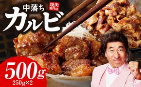 099H3565 焼き肉専門店 自家製タレ漬け 中落ちカルビ 合計500g（250g×2）