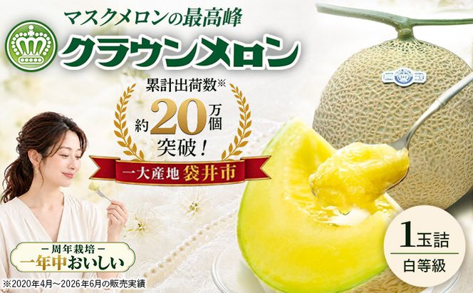 クラウンメロン（白上級）１玉入 