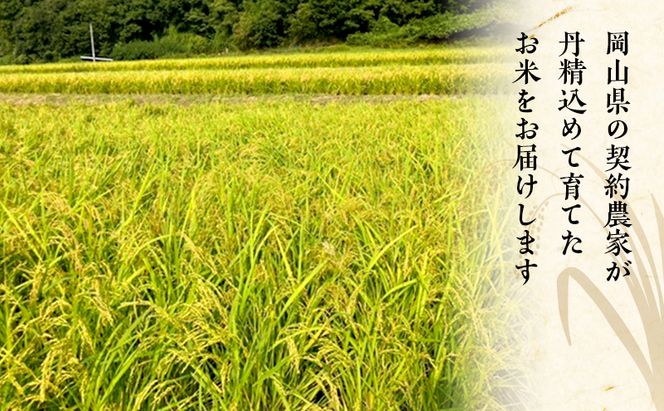 2026年度 先行受付 新米 岡山県産米 白米  こしひかり 20kg(10kg×2袋) お米 コメ 国産 岡山