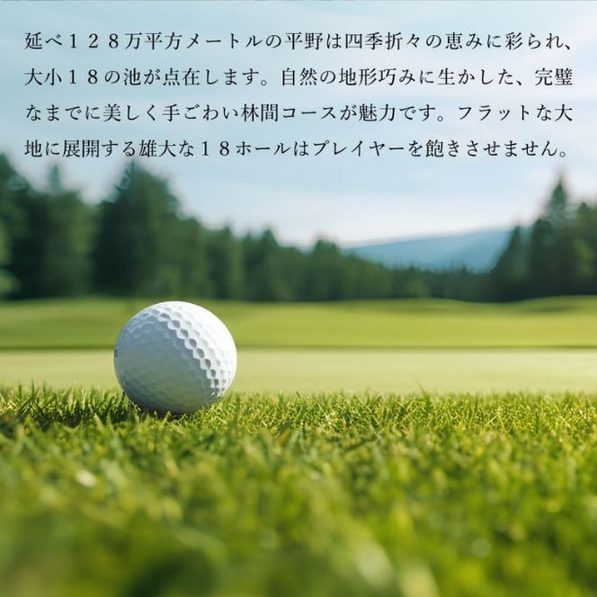 加西インターカントリークラブ プレー割引券 3000円分[ ゴルフ プレー券 兵庫県 ] ゴルフ場利用権 運動 コース ラウンド フラット 18ホール 