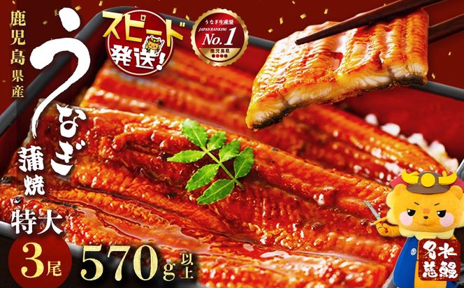 鹿児島県産うなぎ蒲焼 名水慈鰻 特大3尾(1尾190g以上)＜計570g以上＞ b1-023