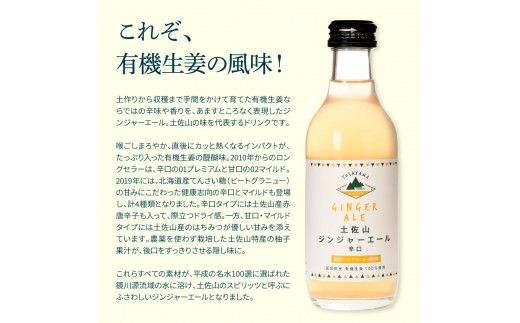 【CF-R7hbk】SKS050　土佐山ジンジャーエール辛口12本セット ジンジャーエール 辛口 飲み物 セット お歳暮 御歳暮 ギフト ドリンク  大人 ジンジャー ジュース 炭酸飲料 お取り寄せ 美味しい おいしい 贈り物 故郷納税 19000円 ふるさとのうぜい 高知県産 生姜 芸西村 返礼品