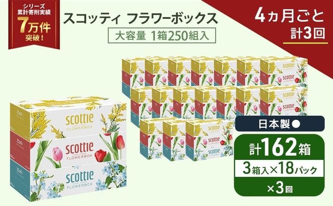 定期便 ティッシュ スコッティ フラワーボックス 3箱 × 18 パック《 4ヶ月ごと計 3回 》ティッシュセット