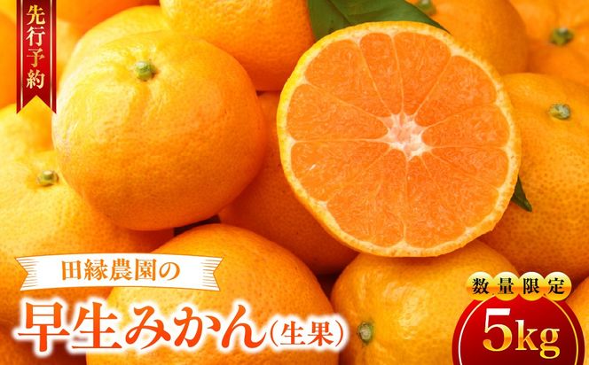 【先行予約】【数量限定】田縁農園の早生みかん（生果）5kg （2026年11月10日より順次発送）IKTA001