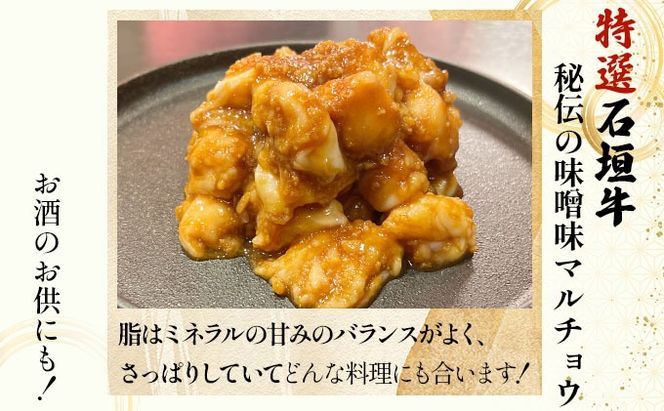 【2025年11月以降順次発送】特選石垣牛の牛スジと秘伝の味噌味マルチョウをご家庭で！！牛スジ500g、味噌味マルチョウ300ｇのセット