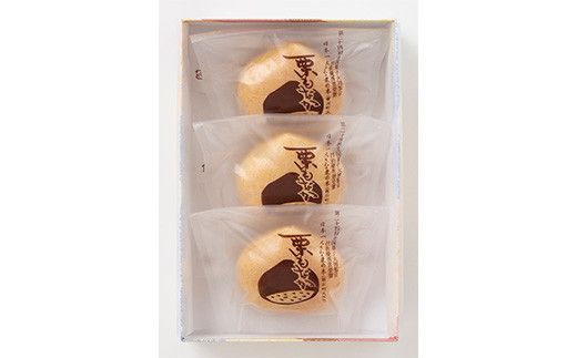 FYN6-158 【西川町銘菓】日本一大きな栗の木「栗もなか」 3個入 全国菓子博覧会 技術優秀賞受賞 和菓子 最中 山形県 西川町