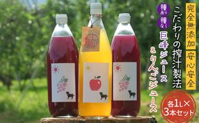 【完全無添加】【安心安全】【こだわりの搾汁製法】種あり巨峰／種なし巨峰／りんごのジュース 3本セット【栽培期間中 除草剤・ネオニコチノイド系農薬・化学肥料不使用】 果実飲料 フルーツジュース 飲み物 飲み比べ 