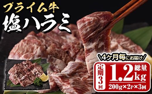 [定期便・全3回 (4か月ごとの発送)]プライム牛 塩ハラミ(総量1.2kg) 定期便小分け 牛肉 肉 ハラミ 牛はらみ 味付け 焼肉 塩 BBQ 冷凍 大分県 佐伯市[DH321][ネクサ]