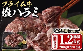 ＜定期便・全3回 (4か月ごとの発送)＞プライム牛 塩ハラミ(総量1.2kg) 定期便小分け 牛肉 肉 ハラミ 牛はらみ 味付け 焼肉 塩 BBQ 冷凍 大分県 佐伯市【DH321】【ネクサ】