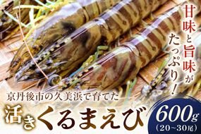 丹後の活きくるまえび 600g（20～30尾）　MN00061