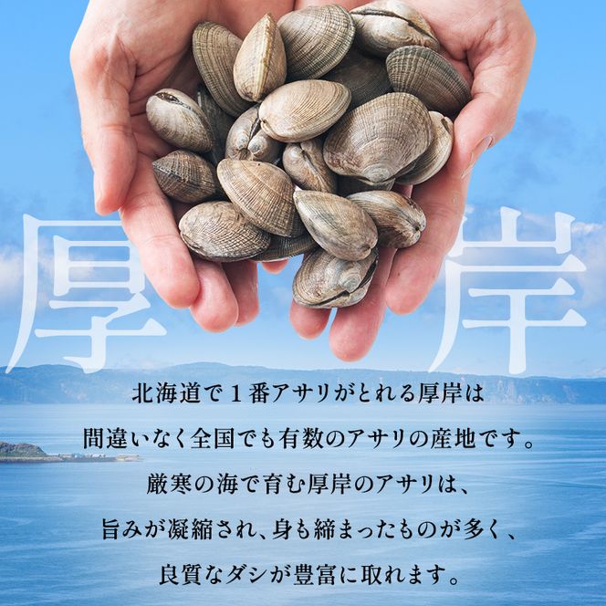 あさり 訳あり 北海道 厚岸産 砂出し済み 活あさり 500g×2 (合計1kg) 【厚岸海産】[ アサリ 魚貝 海鮮 大粒 美味しい 栄養 旨み 砂出し 水洗い 冷蔵 便利 ] 