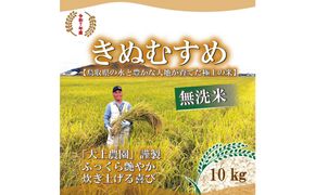 令和7年産　大上農園きぬむすめ　無洗米10kg 313726_CI006
