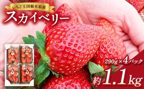 【先行予約】出会いの森いちご園 スカイベリー （290g×4パック） | いちご イチゴ 苺 栃木県 果物 くだもの フルーツ スカイベリー 新鮮 贈答 ギフト デザート スイーツ ※2026年12月～発送
