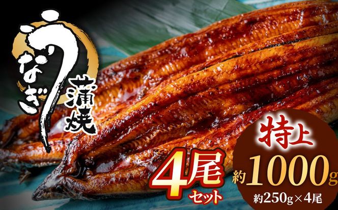 数量限定！地域応援企画！うなぎ蒲焼き4尾セット【魚住商店】_HA1494 特上 鰻 ウナギ 人気 特大 炭火 うなぎの蒲焼 丑の日 土用 真空 福岡県宗像市 宗像市 福岡 宗像
