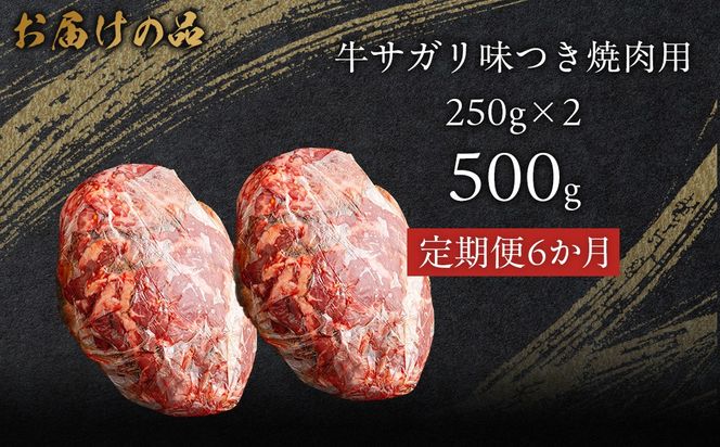 【6か月定期便】牛サガリ味つき焼肉用 500g (250g×2)  MROBM026