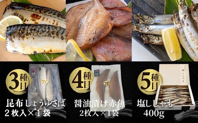 国内加工 水産物詰め合わせ 8種10点セット（炙りさば照り焼き・炙りさば塩だれ焼き・昆布しょうゆさば・醤油漬け赤魚・醤油ししゃも・塩ししゃも・特大ししゃも・ピリ辛ししゃも）-[G397]