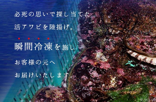 礼文島産 凍結島アワビ Sサイズ 5個 魚貝類 魚介類 鮑利尻昆布 良質 瞬間冷凍 磯の香り コリコリ 獲れたて 甘い 贈り物 