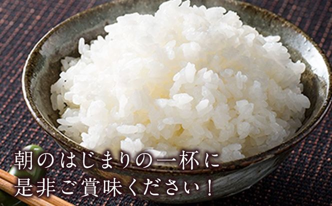 令和7年産 矢護川清流そだち(くまさんの輝き) 5kg 大津町矢護川おいしい米作り研究会 お米 熊本県 大津町《60日以内に出荷予定(土日祝除く)》---oz_kzk_2_5kg---