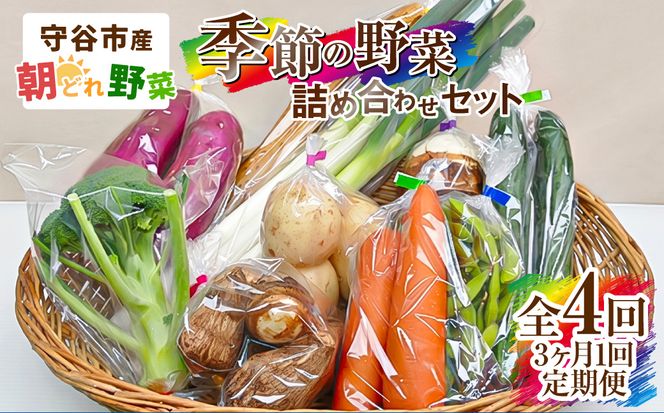 【定期便 4回】【3ヶ月に1回お届け】守谷市産 旬の野菜セット | 野菜 やさい 野菜セット 旬 国産 茨城県産 セット 詰め合わせ 定期 定期配送 冷蔵