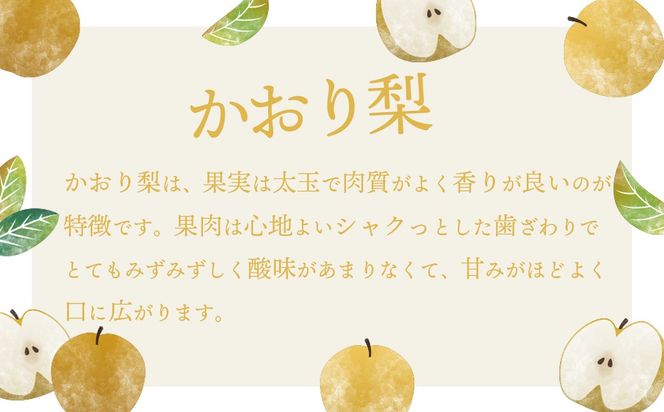 【数量・期間限定！】【2026年9月中旬以降発送】 片野果樹園 かおり梨 約 5kg なし ナシ フルーツ 果物 旬 産地直送 国産 茨城県 [AD021ya]