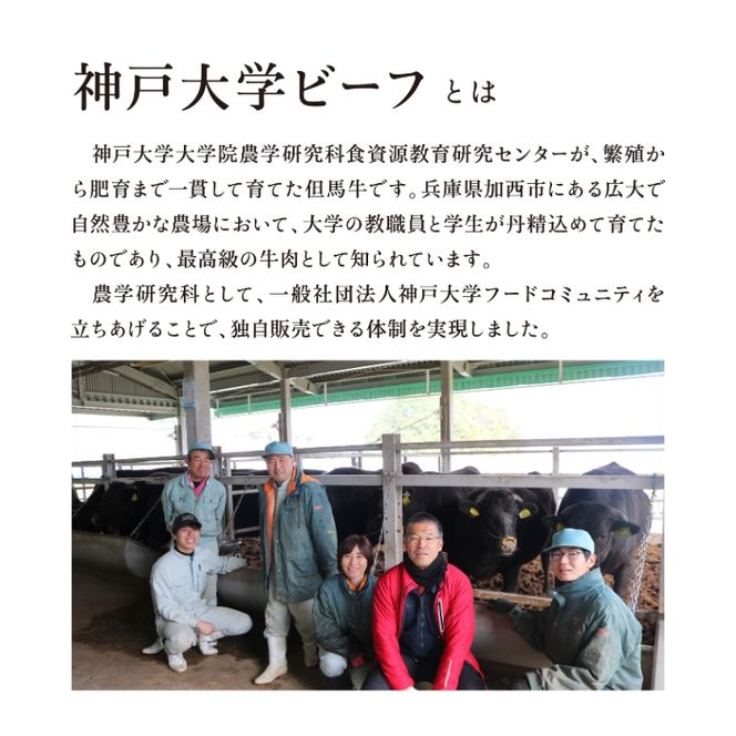 神戸牛 神戸大学ビーフ 切り落とし お試し 300g かた モモ 神戸ビーフ 牛肉 お肉 肉 赤身 アウトドア キャンプ BBQ ブランド牛 但馬牛