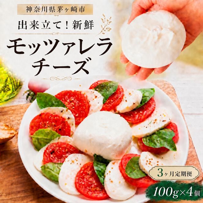 3ヶ月定期便 出来立て新鮮 モッツァレラチーズ100g 4個 茅ケ崎産 加工食品 乳製品 チーズ 出来立て 神奈川県産 モッツァレラ 手作り Osteria e Bottega S 神奈川県 湘南 茅ケ崎 フレッシュチーズ おつまみ ピザ