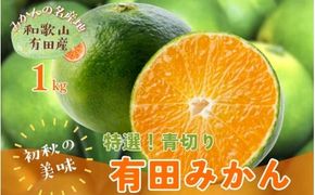 【先行予約】【初秋の美味】【農家直送】特選　青切り有田みかん　約1kg+200g(傷み補償分)【2026年9月中旬～10月上旬頃に順次発送予定】【ard232】