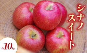 【2026年9月～発送】りんご シナノスイート 約 10kg フルーツ 果物 秋 旬 旬の果物 旬のフルーツ 長野県産