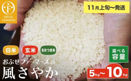 風さやか 白米 玄米 8分つき米  約5kg  約10kg 選べる 精米方法 内容量 ［ おぶせファーマーズ ］ お米 コメ おこめ ご飯 精米 長野県産【2025年11月上旬～発送】 