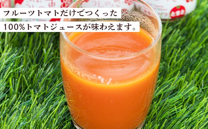 野菜ジュース 野菜ソムリエが育てた うしの惠フルーツトマト500ｇ＋トマトジュース4本 -  野菜 とまと 産地直送 料理 アレンジ サラダ 鍋 サンドイッチ 完熟 リコピン 甘い mj-0026