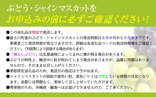 【2026年先行予約】【２回定期便】頬張る幸福感 ～緑の宝石・シャインマスカット～ 計２kg（1.0kg以上・2～3房を２回[9月上旬・下旬]お届け）　シャイン シャインマスカット ぶどう 葡萄 ブドウ 定期便 ２回 果物 くだもの フルーツ 山梨 やまなし 富士川町 シャインだけ シャインマスカットだけ