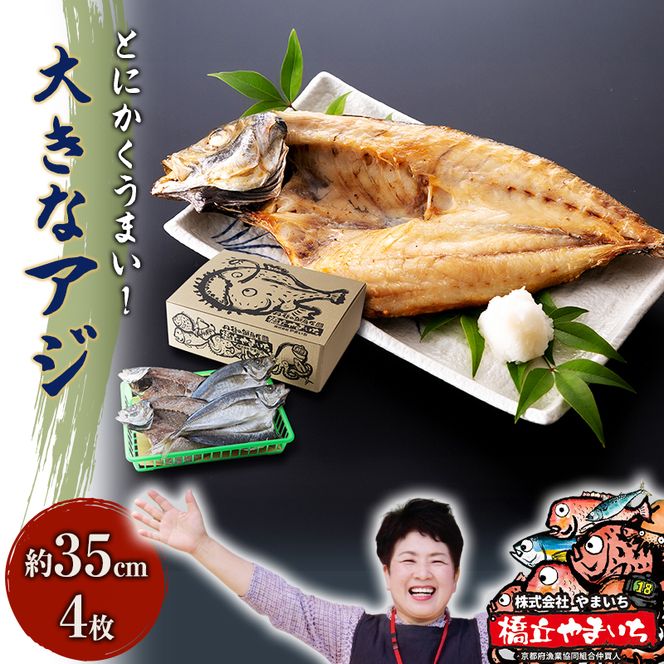 大きな大きなアジ一夜干し (大：35cm程) 魚貝類 魚 一夜干し あじ アジ 鯵 大きめ 肴 海鮮 干物 ひもの セット 日本酒  myz02 myz11 myz17