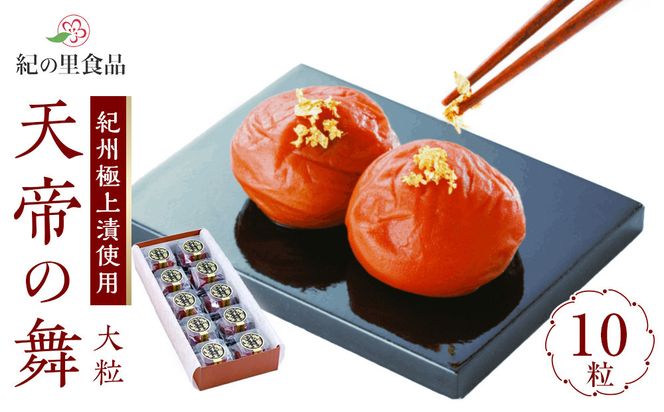 �y�a�̎R�����쒬�z�ɑI�̔~ �V��̕� 1��10������ �mKn11�n 303446_CQ011