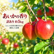訳あり りんご 令和8年11月中旬発送 傷等訳あり・ご家庭用 甘い! 希少! 幻のりんご あいかの香り 約5キロ（りんご・リンゴ・林檎）伊那市 長野県 信州【016-33】