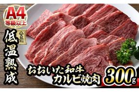 おおいた和牛 カルビ 焼肉 (300g) 国産 牛肉 肉 霜降り 低温熟成 A4 和牛 ブランド牛 BBQ 冷凍 大分県 佐伯市【DH218】【(株)ネクサ】