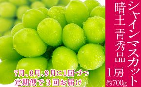 2026年予約受付中 シャインマスカット 晴王 7月8月9月に1回づつ出荷 3回 1房 約700g  人気 岡山県産 種無し 皮ごと食べる みずみずしい  フレッシュ 晴れの国 おかやま 果物大国 ハレノフルーツ