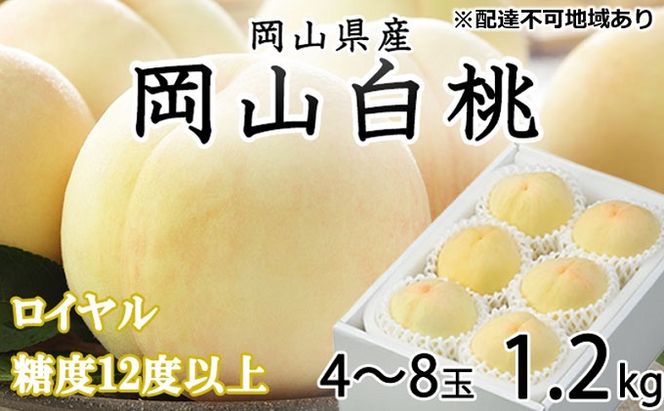 桃 2026年 先行予約 岡山 白桃 ロイヤル 4～8玉 約1.2kg JA おかやま のもも（早生種・中生種） もも モモ 岡山県産 国産 フルーツ 果物 ギフト 甘い 美味しい 産地直送 贈り物 高糖度 
