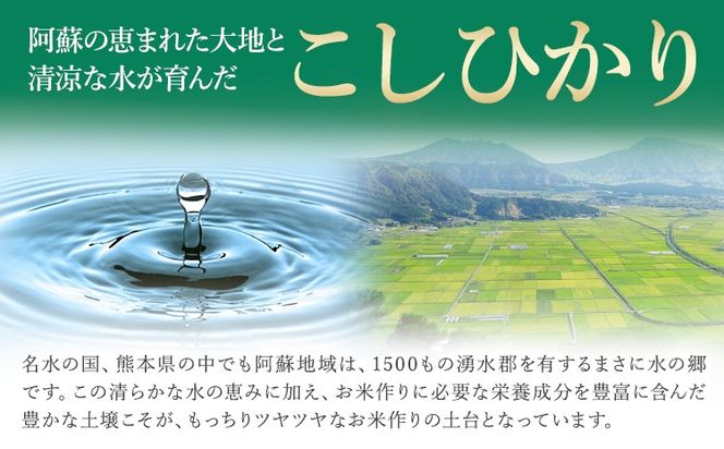 新米 令和7年産 【2ヶ月定期便】 こしひかり 選べる 精米方法 白米 無洗米 5kg 10kg 15kg 20kg 熊本県産(南阿蘇村産含む) 単一原料米 南阿蘇村 産 米 定期便《お申込月の翌月から出荷開始》---kh7tei_25000_5kg_mo2_mna_h---