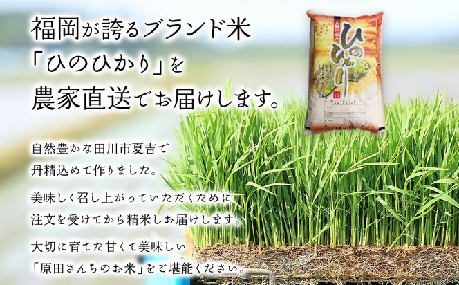 「原田さんちのお米」ヒノヒカリ 10kg お取り寄せグルメ お取り寄せ 福岡 お土産 九州 ご当地グルメ 福岡土産 取り寄せ 福岡県 食品