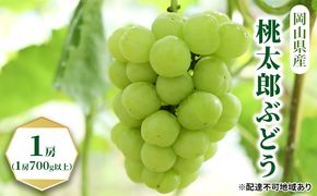 ぶどう 2026年 先行予約 桃太郎 ぶどう 1房（1房700g以上）化粧箱入り  ブドウ 葡萄  岡山県産 国産 フルーツ 果物 ギフト 果物類 