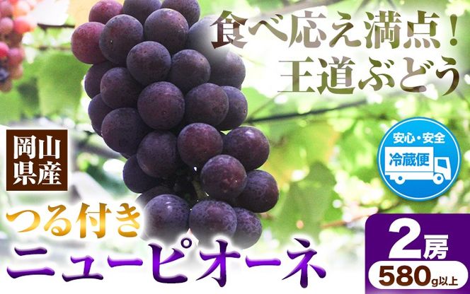 岡山県産ニューピオーネ 2房（580g以上） 先行受付 《9月中旬-10月下旬頃出荷》 【配送不可地域あり】---H-76---